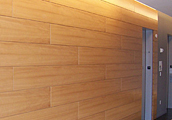 Special Woodworking Projects